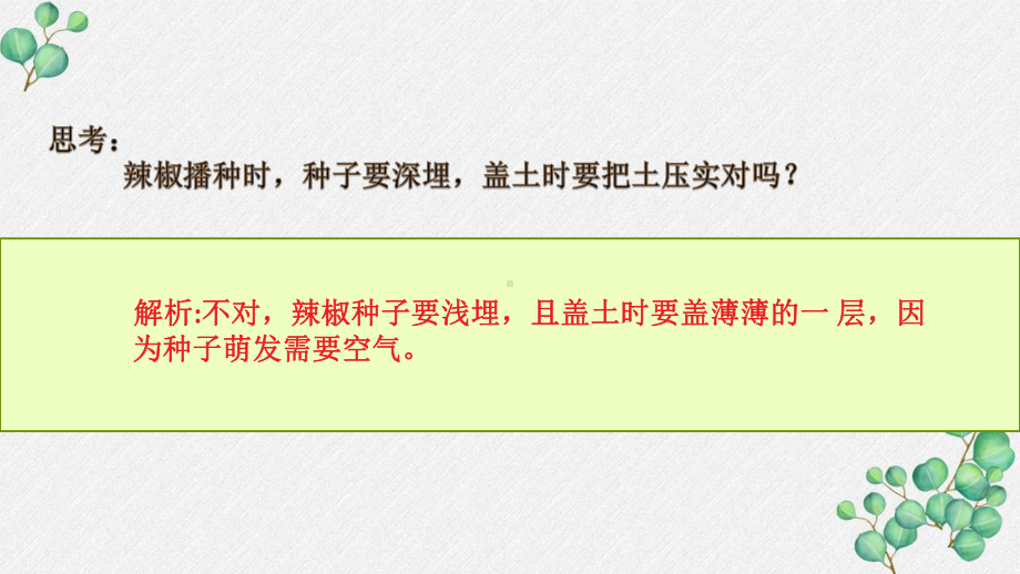 六三制新青岛版四年级科学下册第4单元《植物的生长—单元复习》PPT课件.pptx_第3页