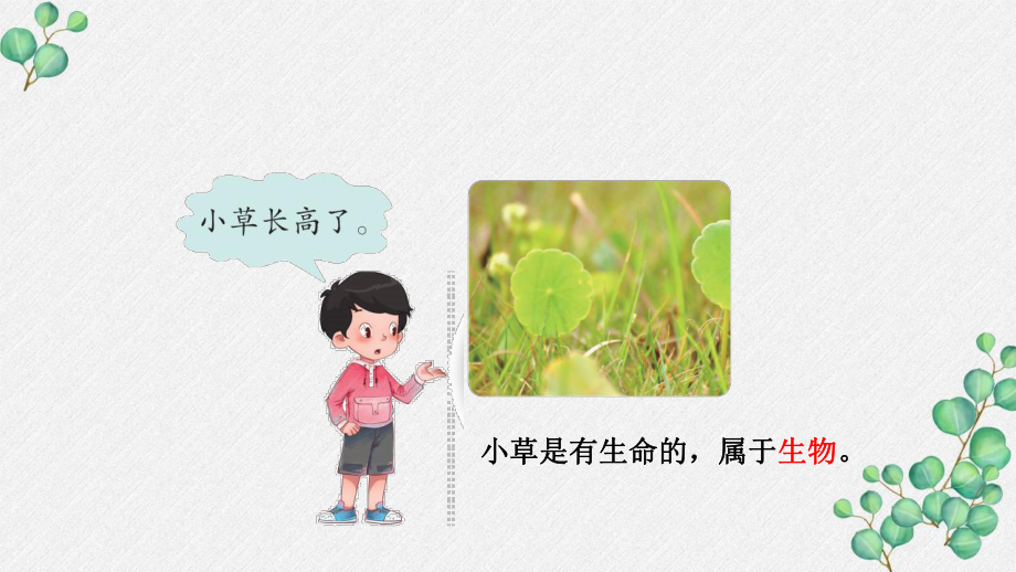 六三制新青岛版四年级科学下册《18.生物和非生物》PPT课件.pptx_第3页