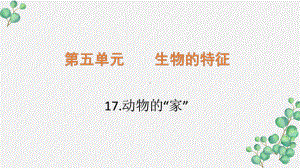 六三制新青岛版四年级科学下册《17.动物的“家”》PPT课件.pptx