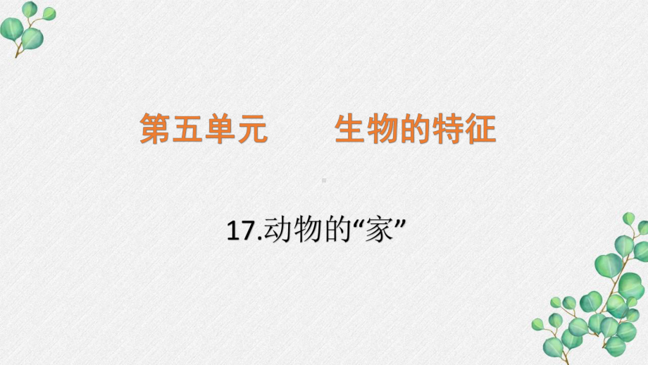 六三制新青岛版四年级科学下册《17.动物的“家”》PPT课件.pptx_第1页