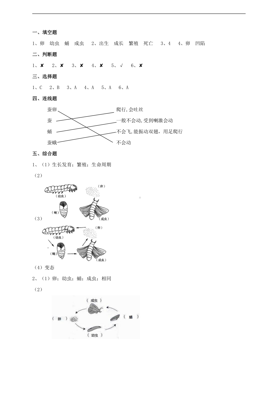 2022新苏教版四年级下册科学3.10《养昆虫》练习（含答案）.doc_第3页