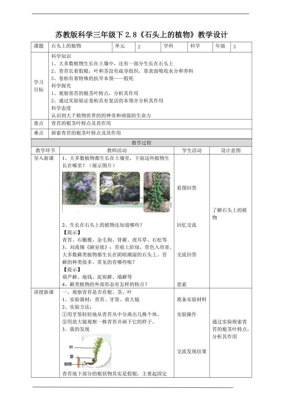 2022新苏教版三年级下册科学2.8《石头上的植物》ppt课件（含教案+练习+素材）.zip