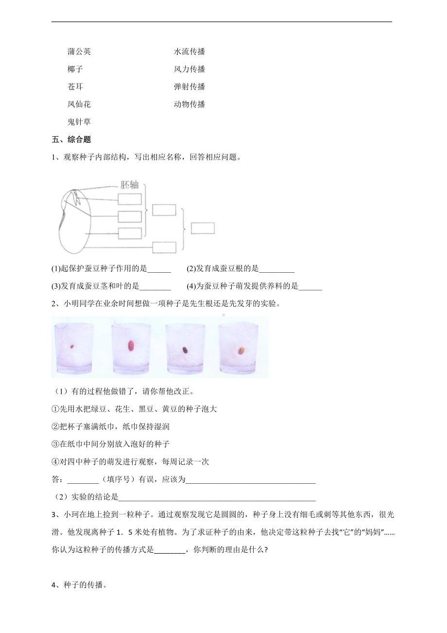 2022新苏教版四年级下册科学4.12《用种子繁殖》练习（含答案）.doc_第2页