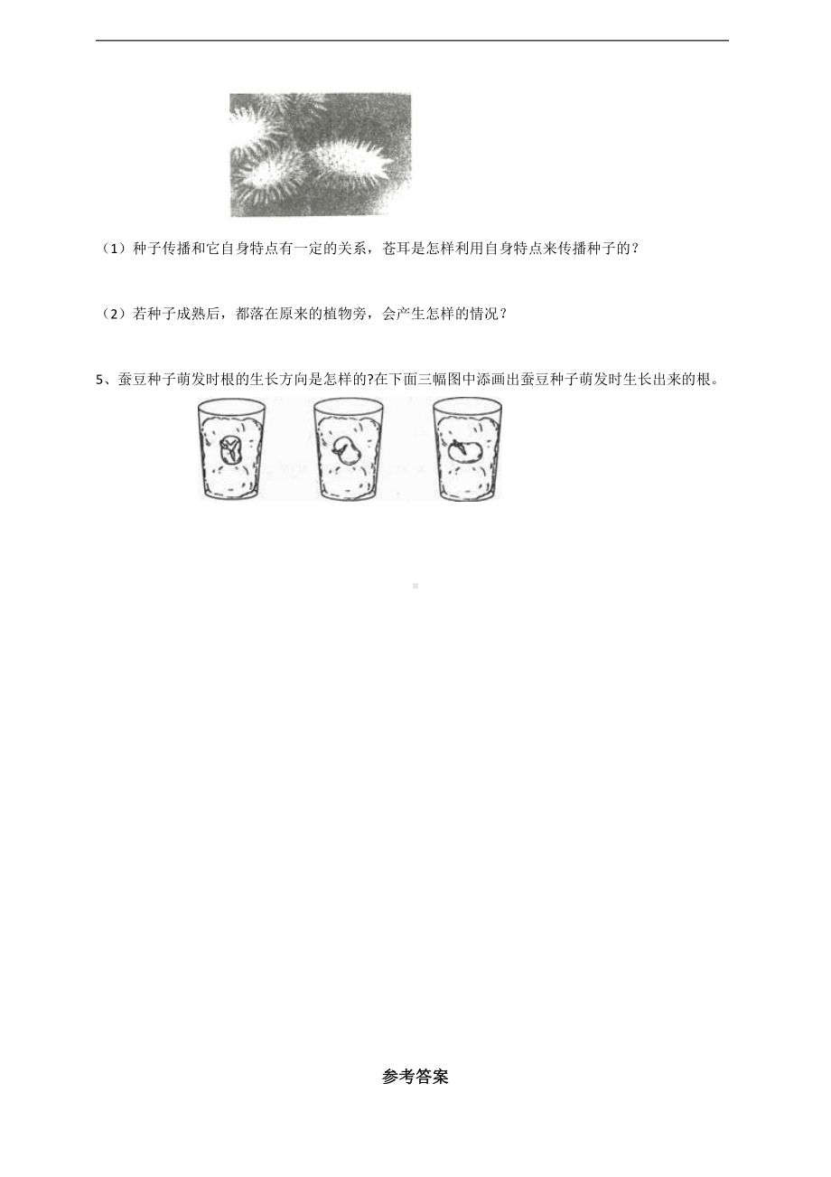 2022新苏教版四年级下册科学4.12《用种子繁殖》练习（含答案）.doc_第3页