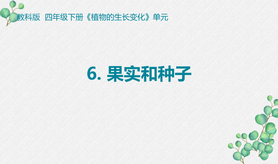 2021-2022新教科版四年级科学下册1-6《果实和种子》课件.pptx_第1页