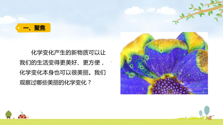 2022新教科版六年级下册科学 4.7美丽的化学变化ppt课件（含随堂练习）.pptx_第2页