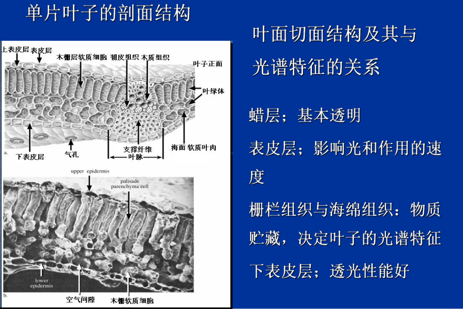 定量遥感课件：地物光谱特征.ppt_第2页