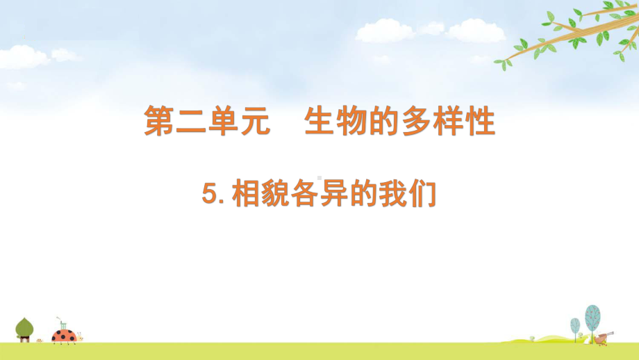 2022新教科版六年级下册科学 2.5相貌各异的我们ppt课件（含随堂练习）.pptx_第1页