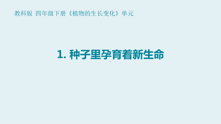 2021-2022新教科版四年级科学下册1-1《种子里孕育着新生命》课件.pptx_第1页