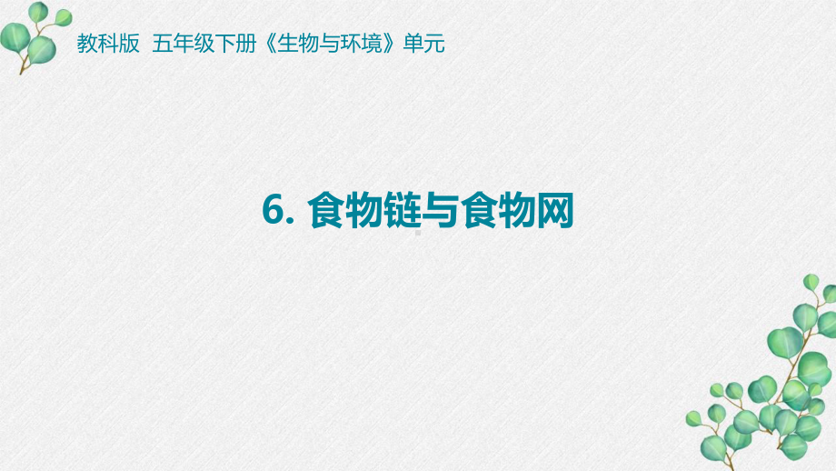 2022杭州新教科版五年级科学下册1-6《食物链和食物网》课件.pptx_第1页