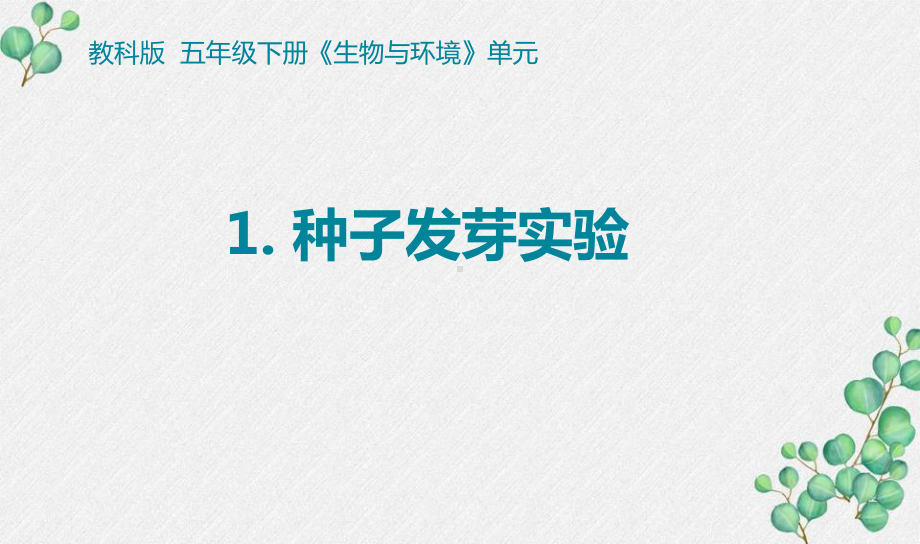 2022杭州新教科版五年级科学下册第一单元《生物与环境》全部课件.pptx_第1页