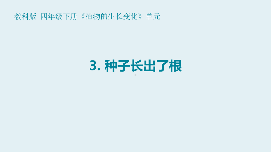 2021-2022新教科版四年级科学下册1-3《种子长出了根》课件.pptx_第1页