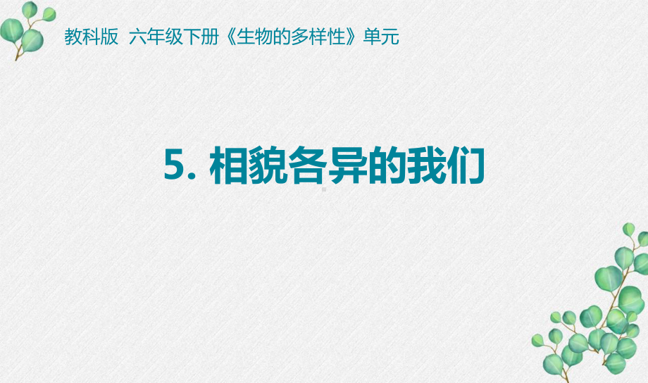 2022杭州新教科版六年级科学下册2-5《相貌各异的我们》课件.pptx_第1页