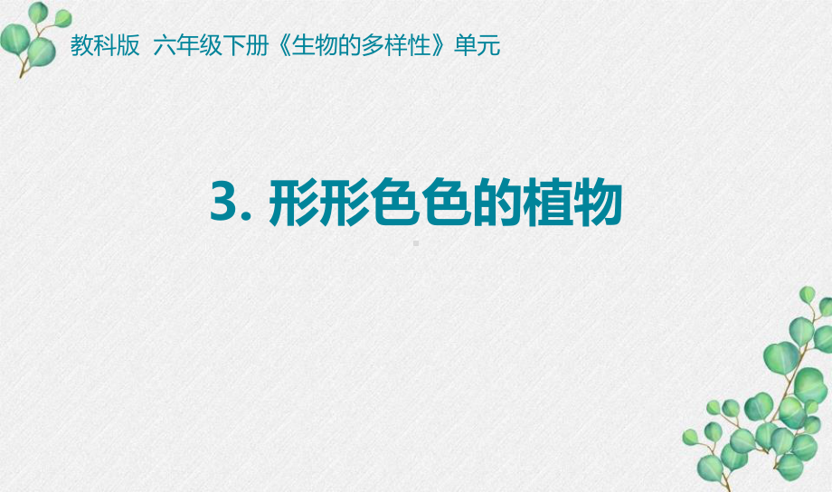 2022杭州新教科版六年级科学下册2-3《形形色色的植物》课件.pptx_第1页