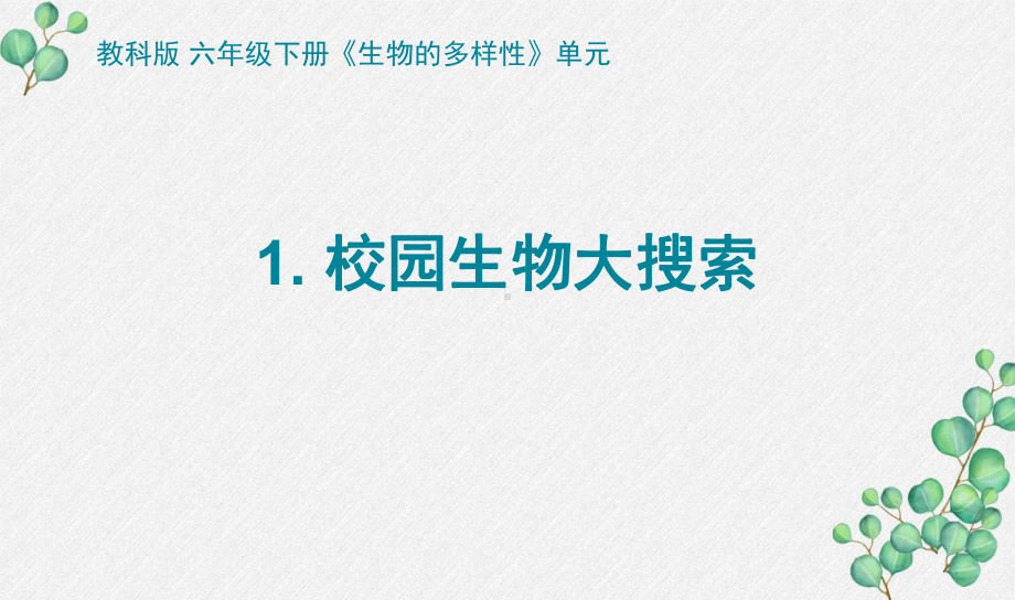 2022杭州新教科版六年级科学下册2-1《校园生物大搜索》教案.pptx_第1页