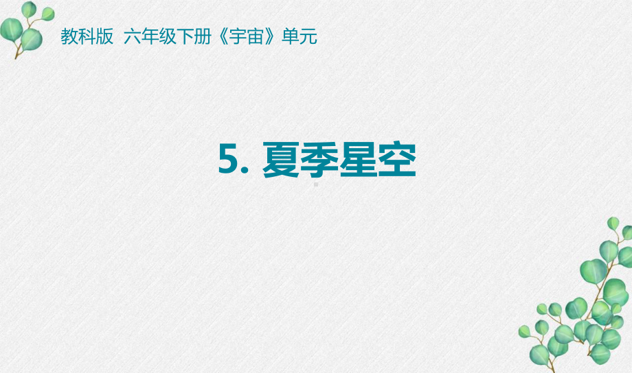 2022杭州新教科版六年级科学下册3-5《夏季星空》课件.pptx_第1页