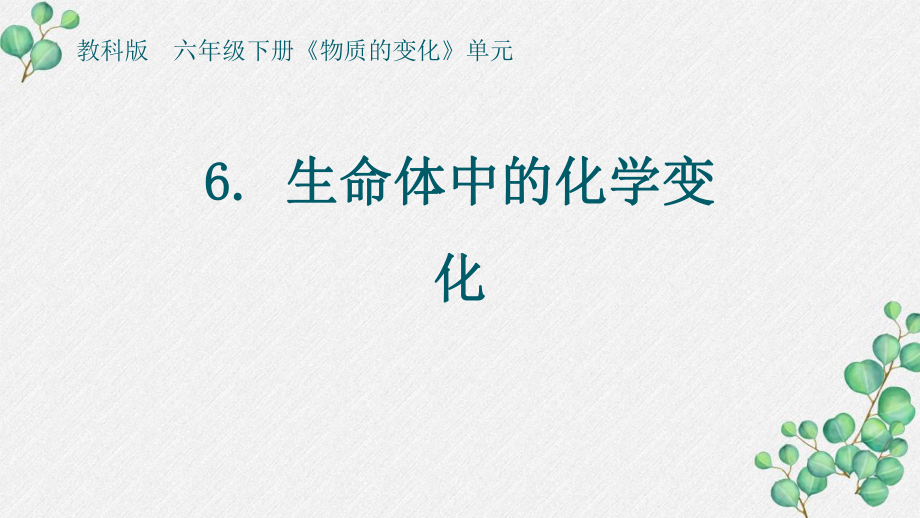 2022杭州新教科版六年级科学下册4-6《生命体中的化学变化》课件.pptx_第1页