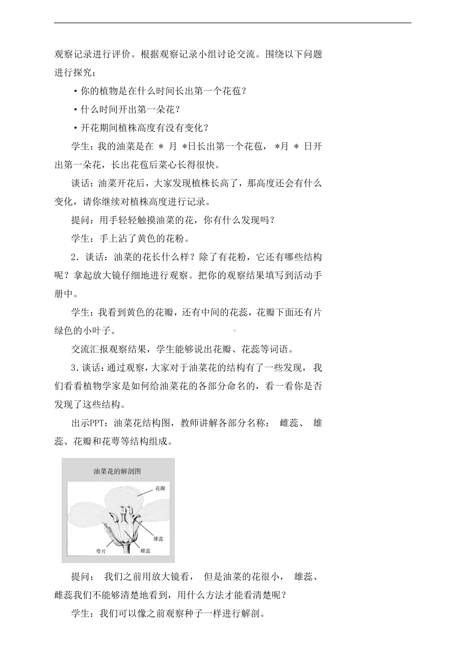 2022新湘科版三年级下册科学5.3 开花结果 教案.doc_第2页