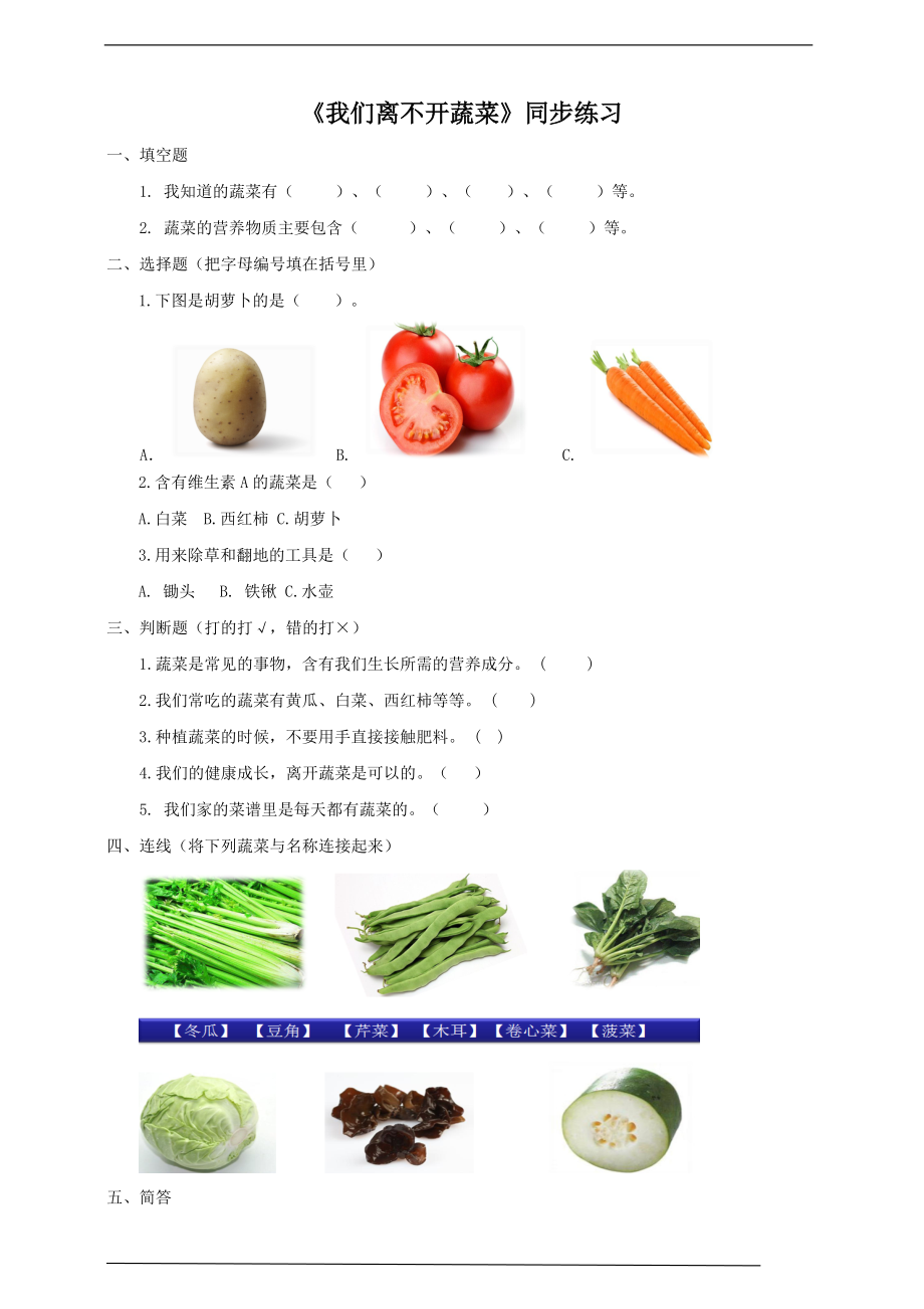 2022新粤教版二年级下册科学2.5《我们离不开蔬菜》ppt课件（含教案+练习）.zip