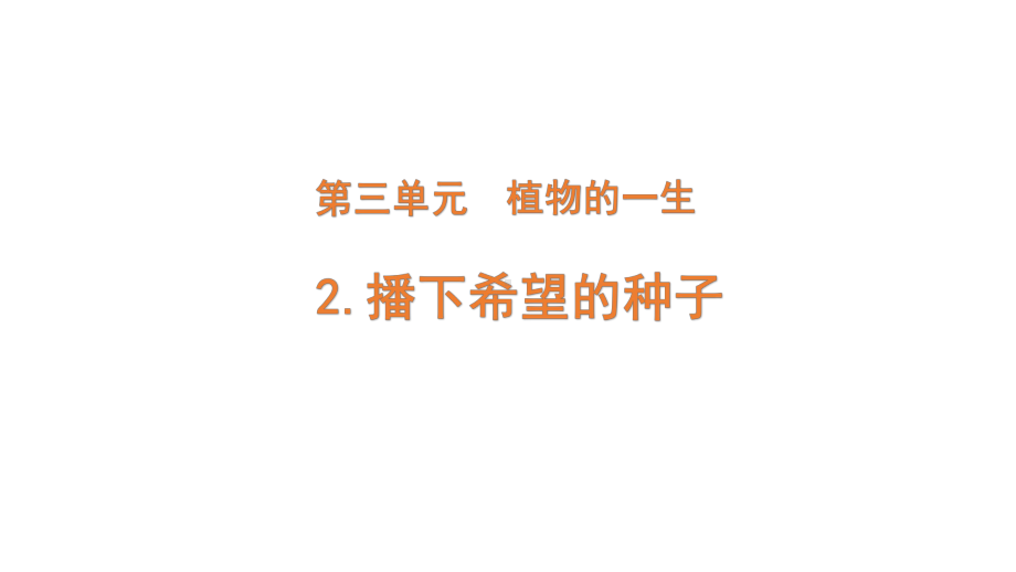 2022新大象版三年级下册科学3-2 播下希望的种子ppt课件（含练习）.pptx_第1页