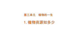 2022新大象版三年级下册科学3-1 植物资源知多少ppt课件（含练习）.pptx