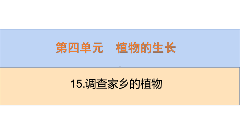 2022新青岛版（六三制）四年级下册科学4.15.调查家乡植物 ppt课件.pptx_第2页