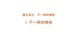 2022新大象版三年级下册科学5-1 不一样的物体ppt课件（含练习）.pptx