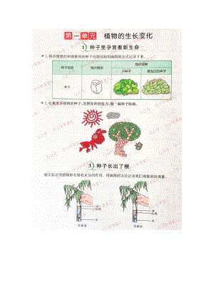 2022新教科版四年级下册《科学》学生活动手册参考答案（图片版）.docx