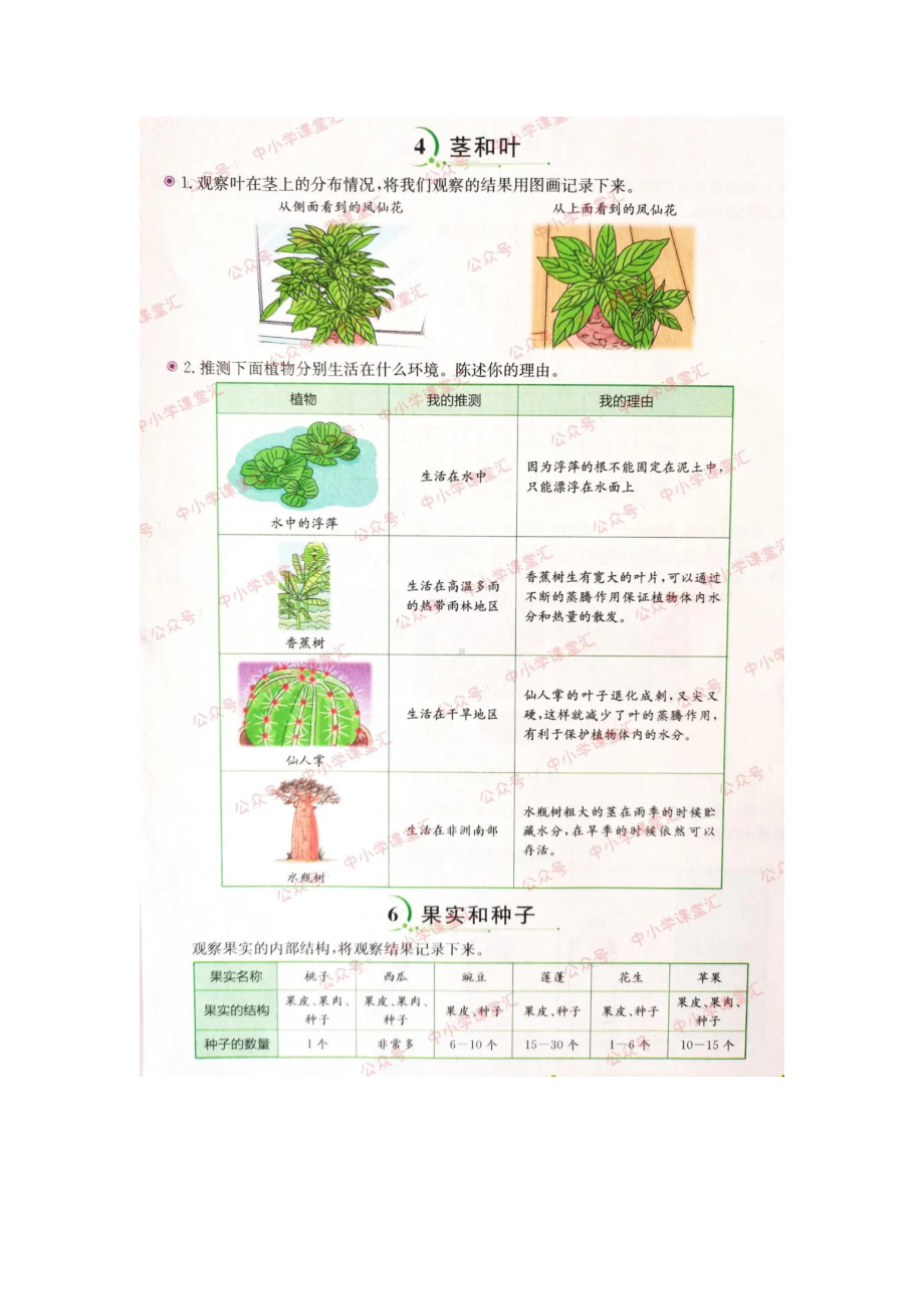 2022新教科版四年级下册《科学》学生活动手册参考答案（图片版）.docx_第2页