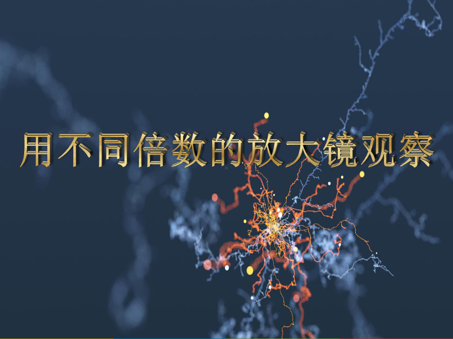 2022粤教粤科版五年级下册科学7 放大镜下的生物ppt课件（含视频）.pptx_第3页