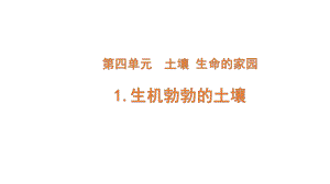 2022新大象版三年级下册科学4-1 生机勃勃的土壤ppt课件（含练习）.pptx