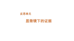 2022新大象版三年级下册科学反思单元 显微镜下的证据ppt课件（含练习）.pptx