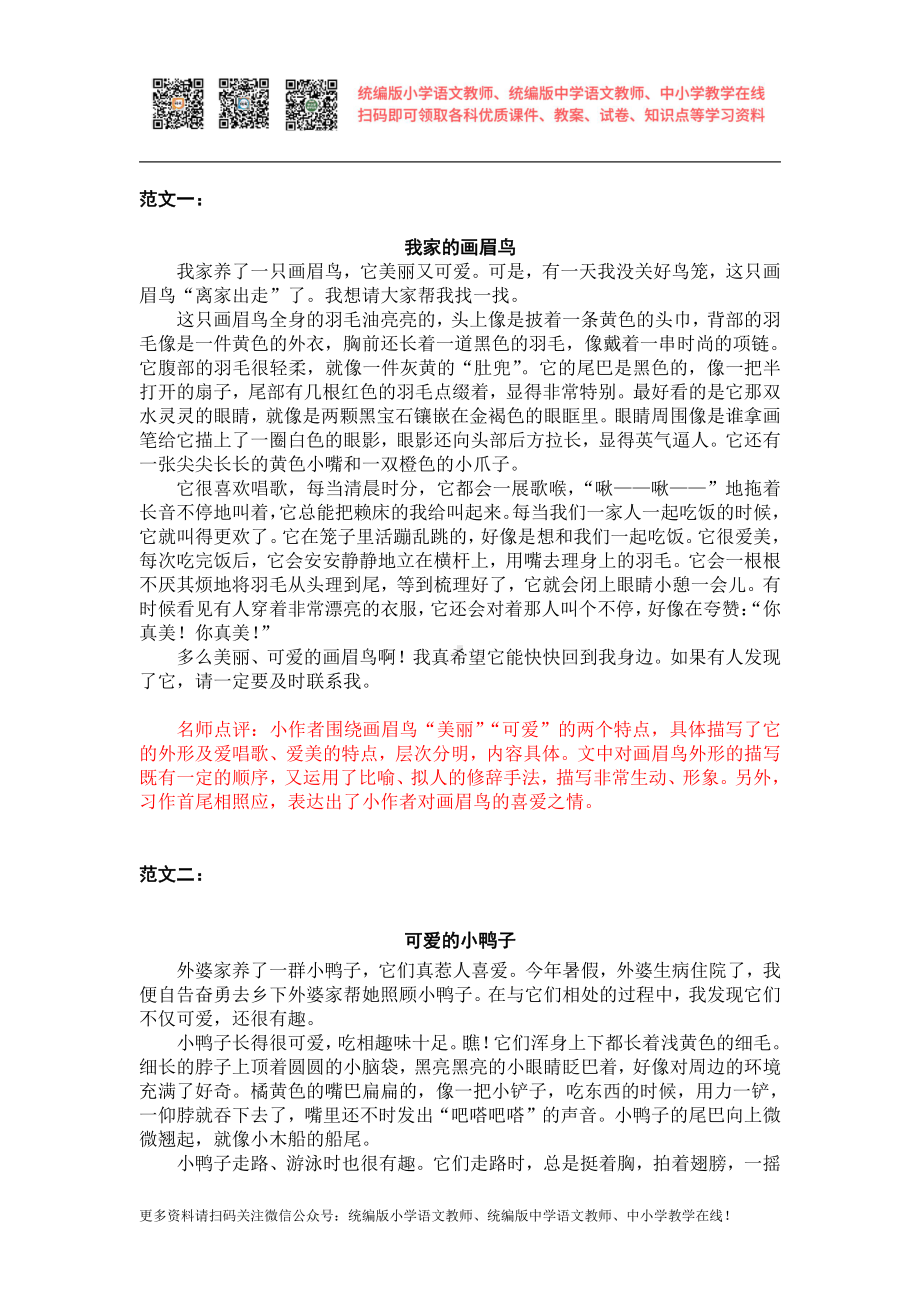 部编版四下语文习作范文第四单元习作范文：我的动物朋友.docx_第1页