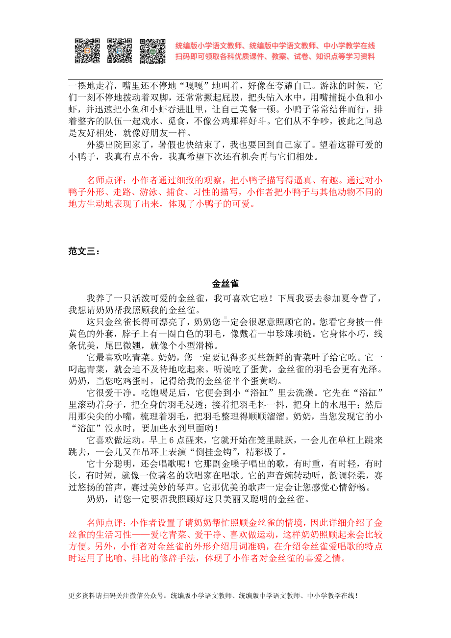 部编版四下语文习作范文第四单元习作范文：我的动物朋友.docx_第2页