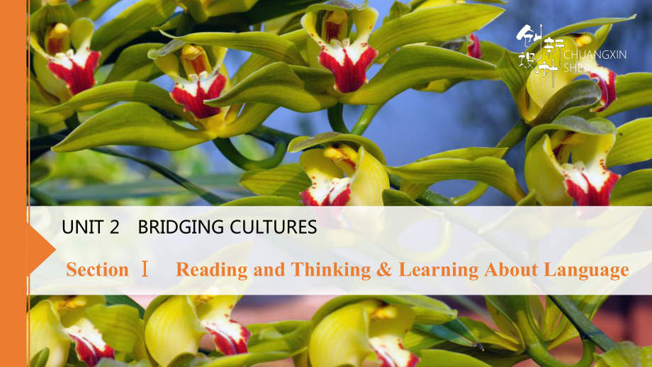 （2019版）新人教版选择性必修第二册Unit 2Reading and Thinking & Learning About Language ppt课件.pptx_第1页