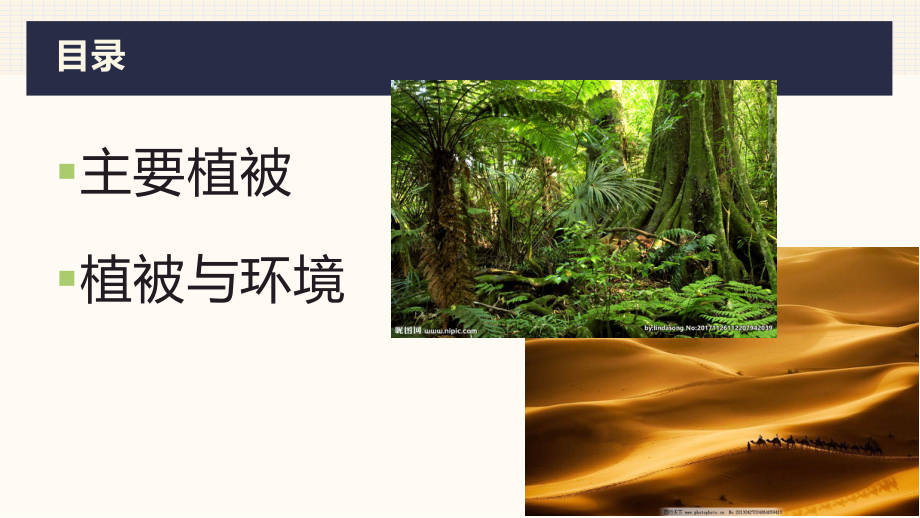 （新教材）2021新湘教版高中地理必修第一册5.1主要植被与自然环境ppt课件.pptx_第2页