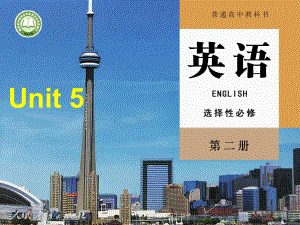 （2019版）新人教版选择性必修第二册Unit 5Assessing Your Progress ppt课件.pptx