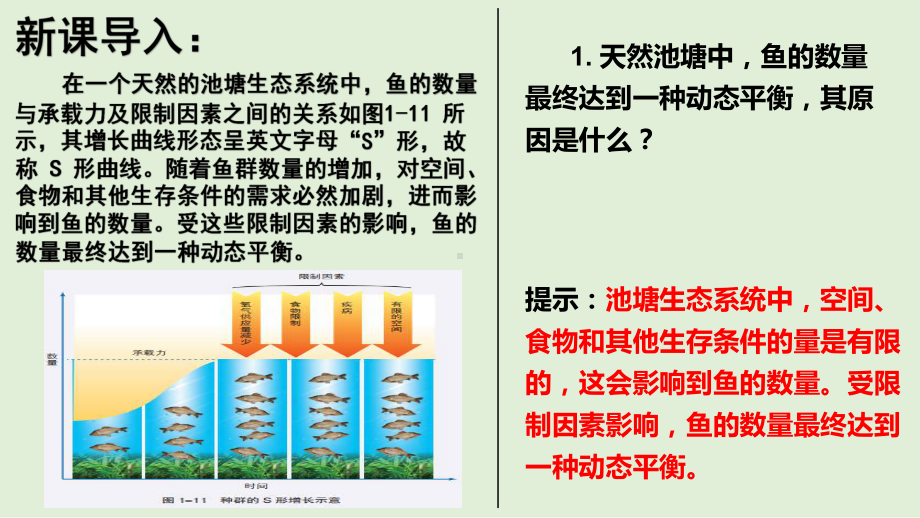 （新教材）2021新湘教版高中地理必修第二册1.3 人口容量（知识梳理+问题探究）ppt课件.pptx_第3页