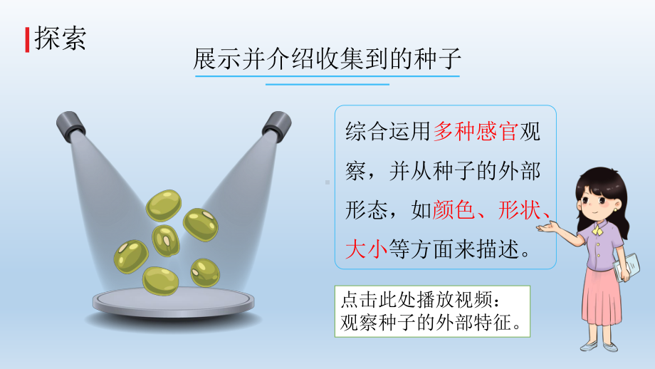 小学科学教科版四年级下册第一单元第1课《种子里孕育着新生命》课件5（2022新版）.pptx_第3页