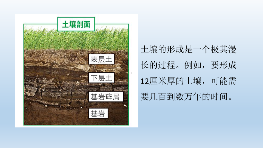 小学科学教科版四年级下册第三单元《岩石与土壤》复习课件5（2022新版）.pptx_第3页