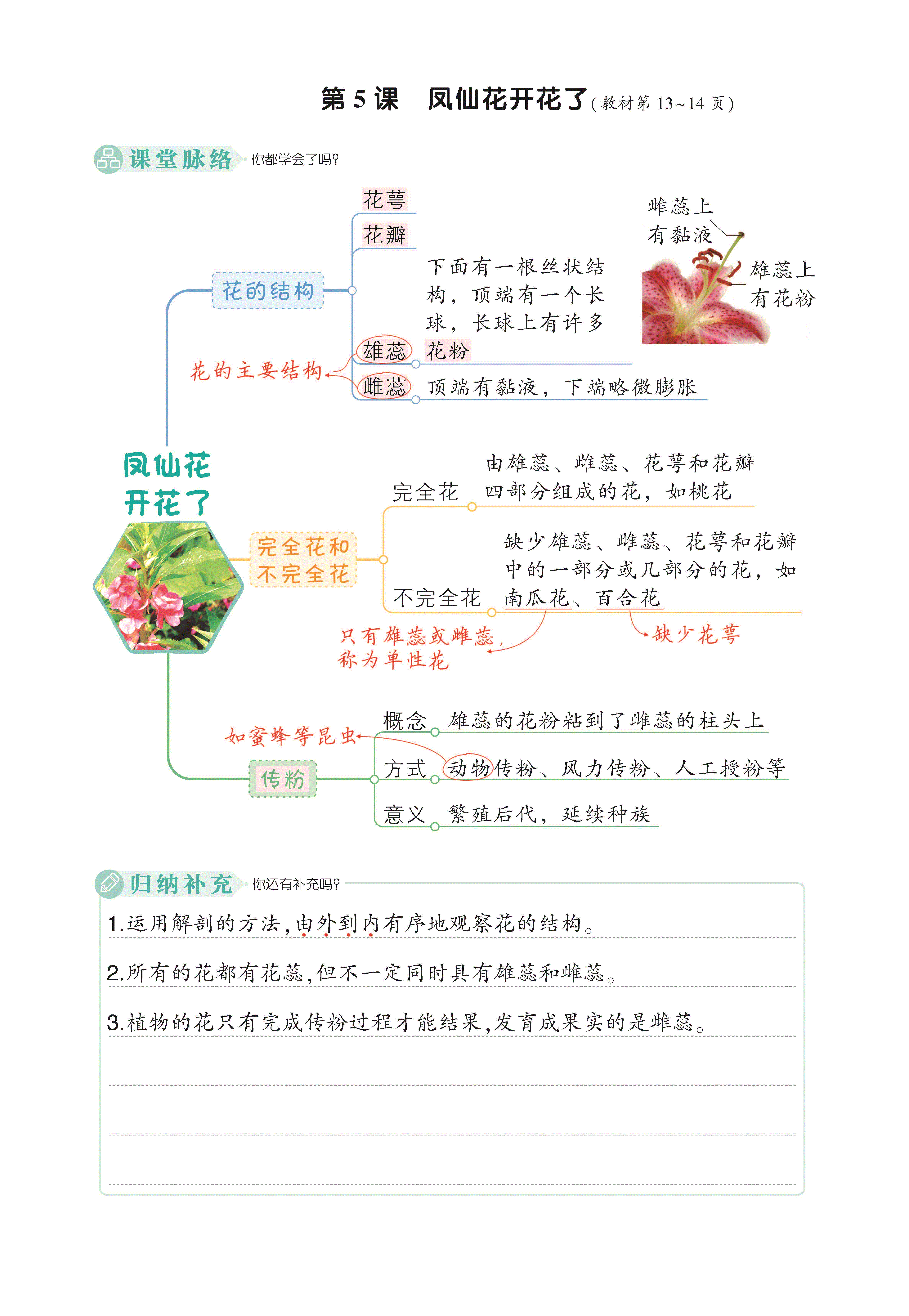 2022新教科版四年级下册科学4. 5.凤仙花开花了 ppt课件（含视频）.rar