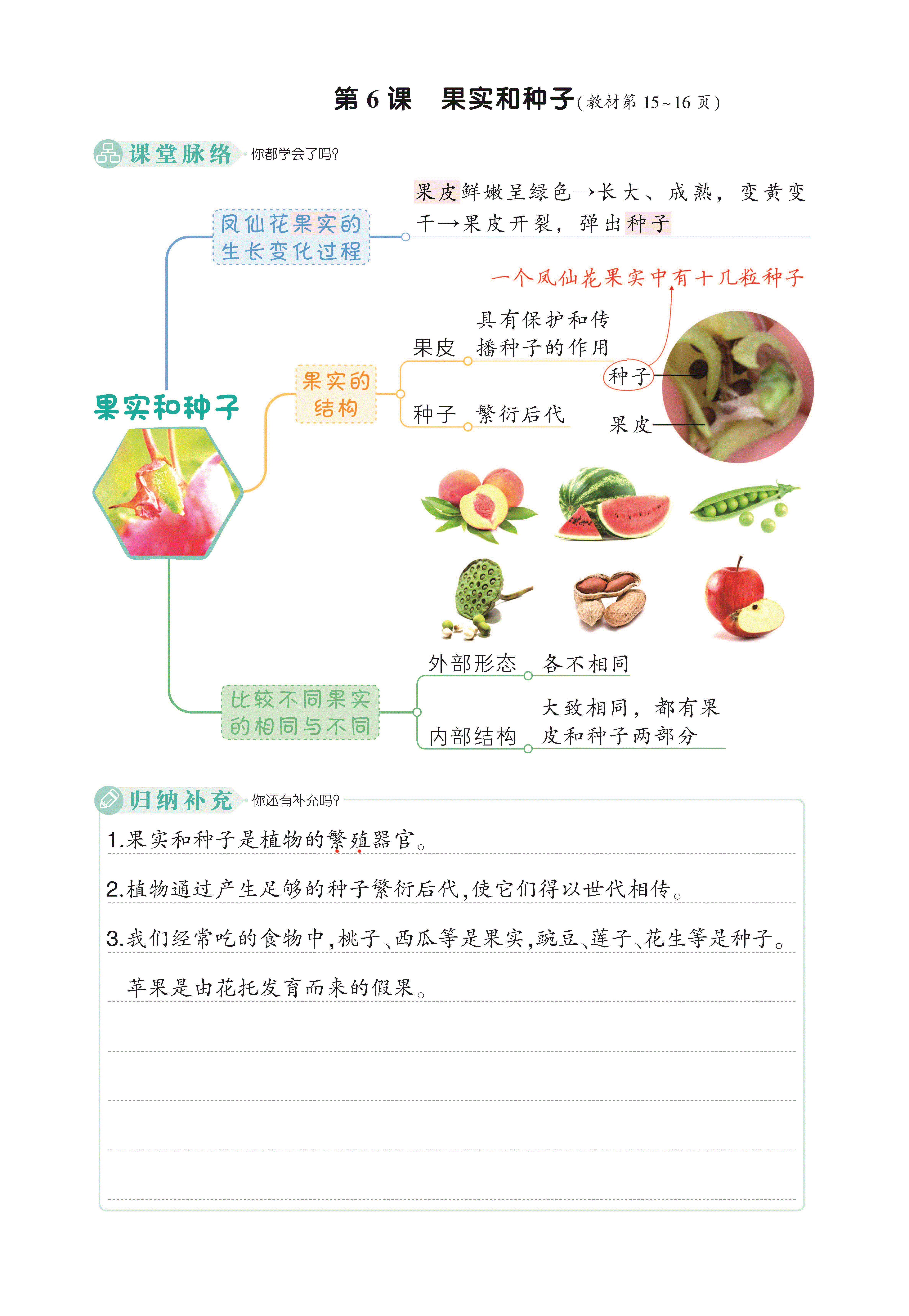 种子预览图解期限2017图片