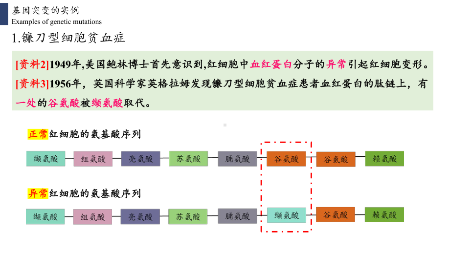 （新教材）2019新人教版高中生物必修二5.1基因突变和基因重组ppt课件.pptx_第3页