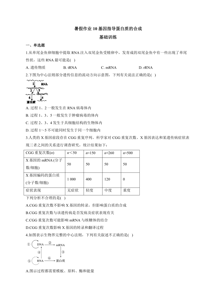 （新教材）2019人教版高中生物必修二暑假作业10 基因指导蛋白质的合成 基础训练.docx_第1页