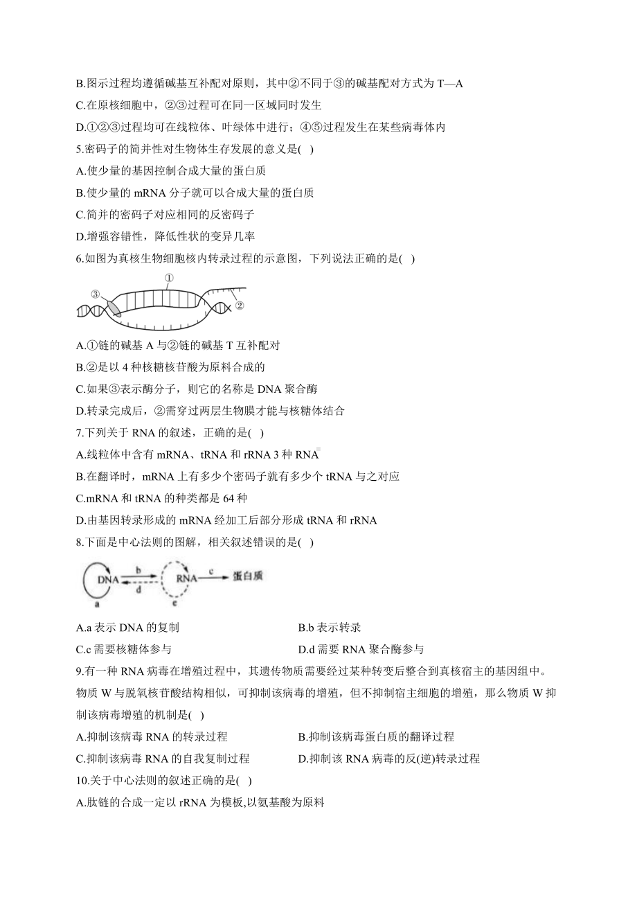 （新教材）2019人教版高中生物必修二暑假作业10 基因指导蛋白质的合成 基础训练.docx_第2页