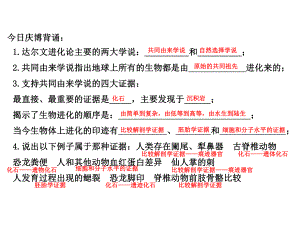 （新教材）2019新人教版高中生物必修二第6章第2节 自然选择与适应的形成ppt课件.pptx