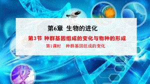 （新教材）2019新人教版高中生物必修二6.3.1种群基因组成的变化与物种的形成ppt课件.ppt