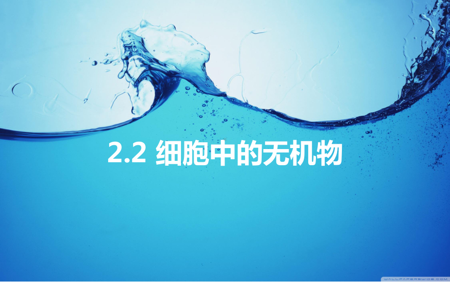 （新教材）2019新人教版高中生物必修一2.2 细胞中的无机物 ppt课件.ppt_第1页