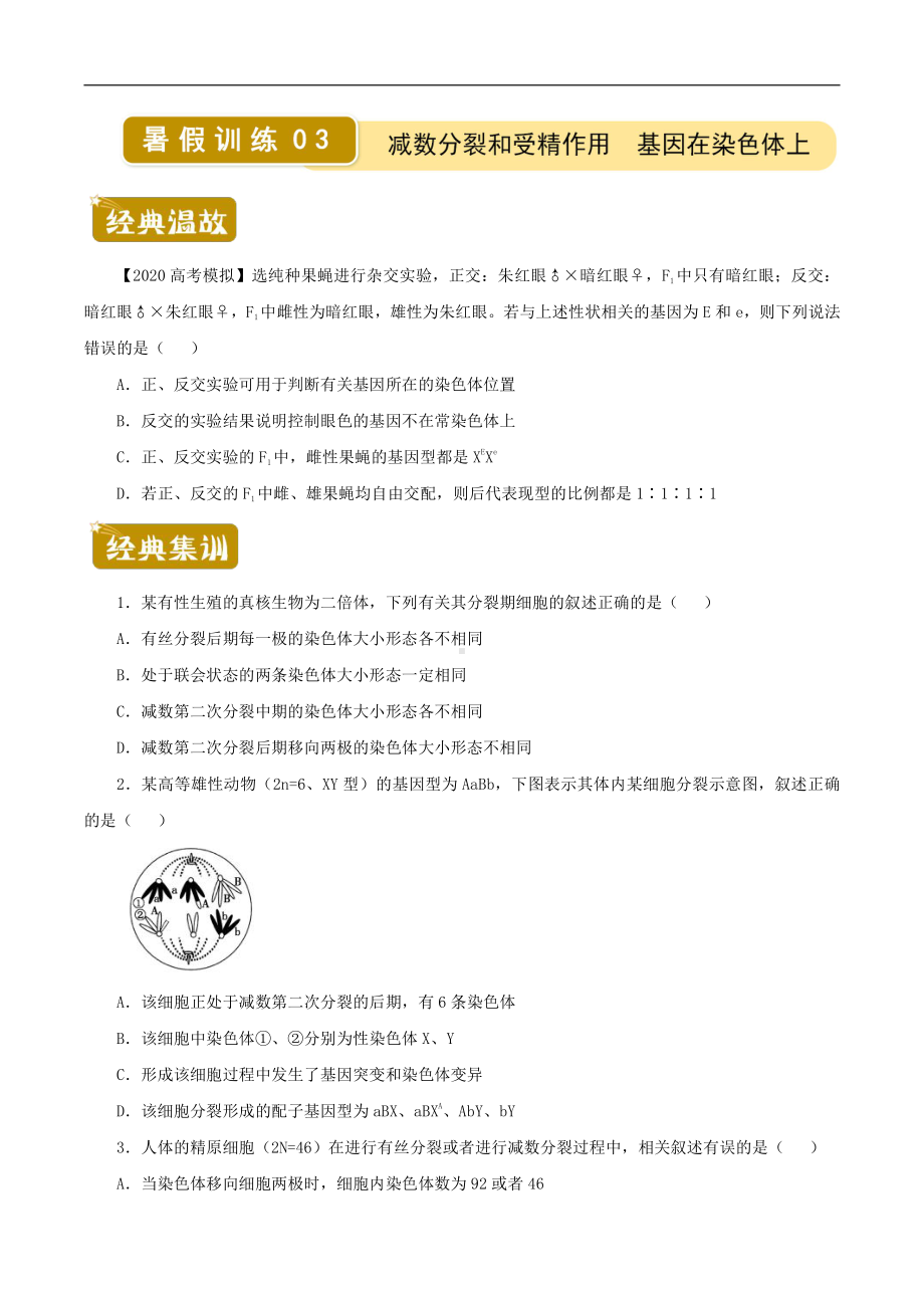 （新教材）2019人教版高中生物必修二暑假训练3减数分裂和受精作用基因在染色体上 学生版.docx_第1页