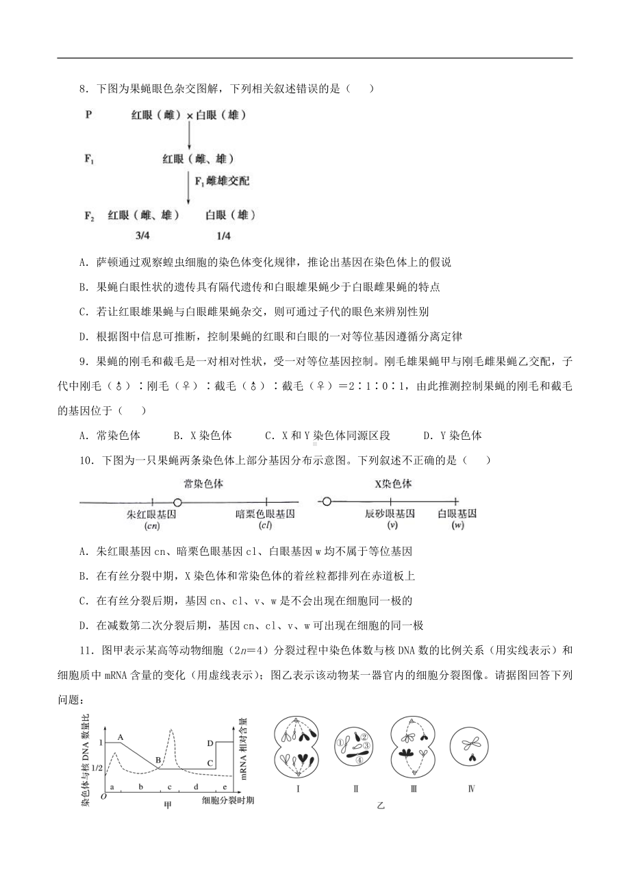 （新教材）2019人教版高中生物必修二暑假训练3减数分裂和受精作用基因在染色体上 学生版.docx_第3页